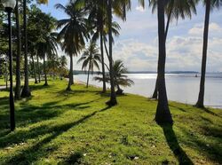 Le Loyang (D17), Apartment #637452471